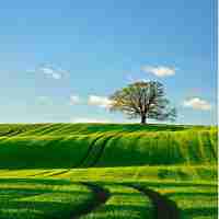 cdn节‍点‌越‍多​越‌好​吗‍